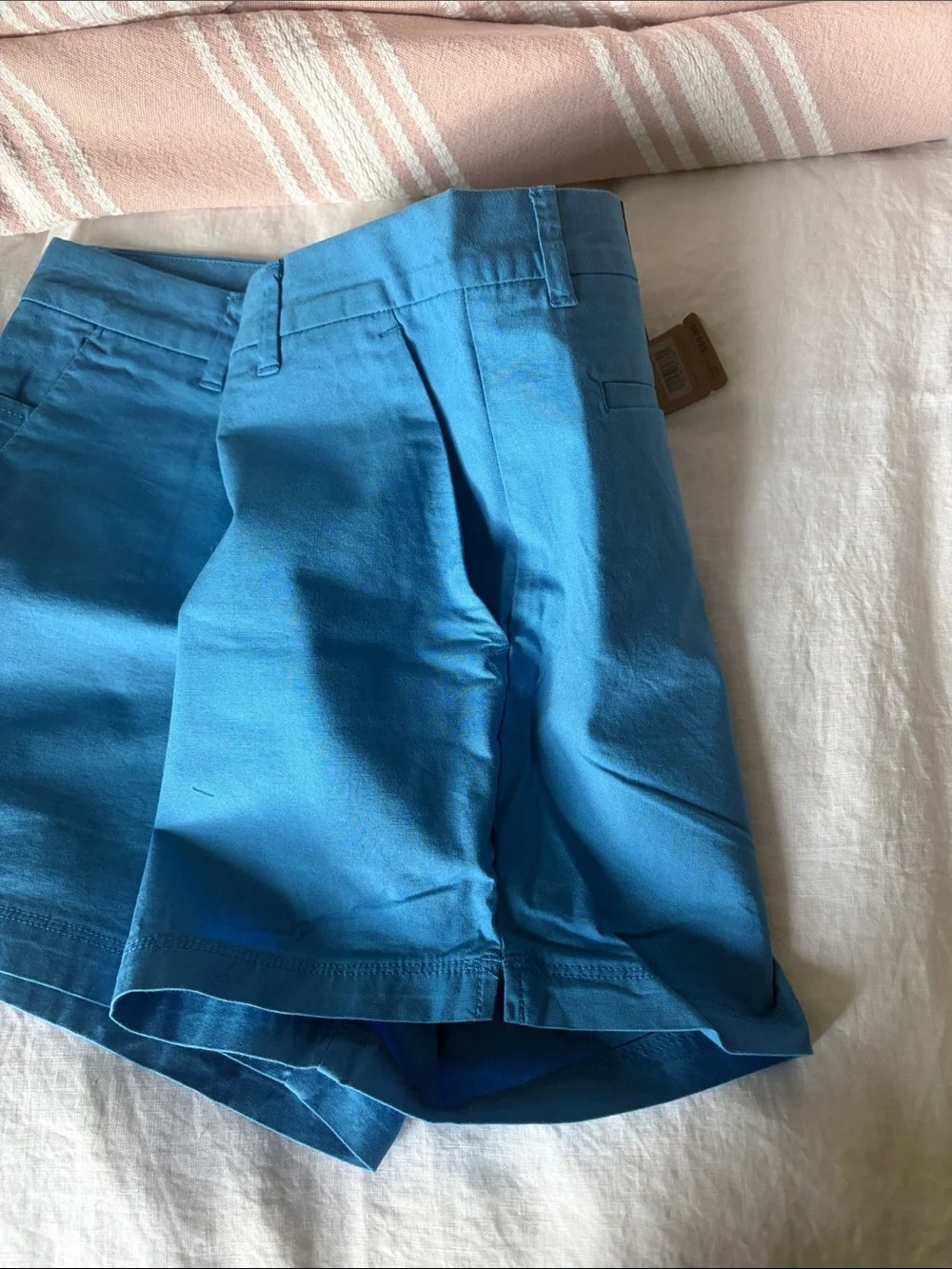 Patagonia Bright Blue Women's Shorts
